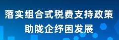 組合式稅費支持政策